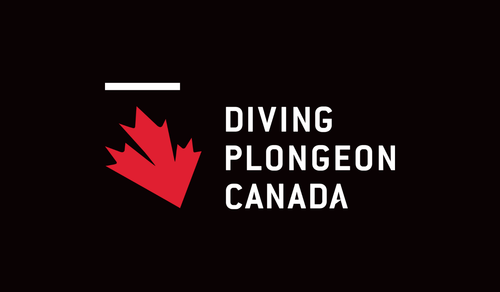 Diving Canada recruits world-class coach to join the Montreal Diving Institute