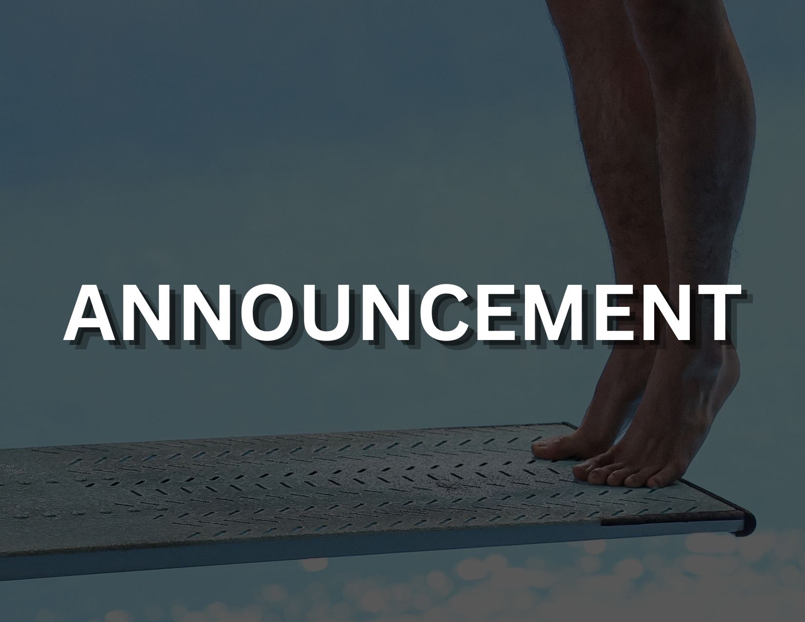DIVING PLONGEON CANADA CHIEF EXECUTIVE OFFICER UPDATE