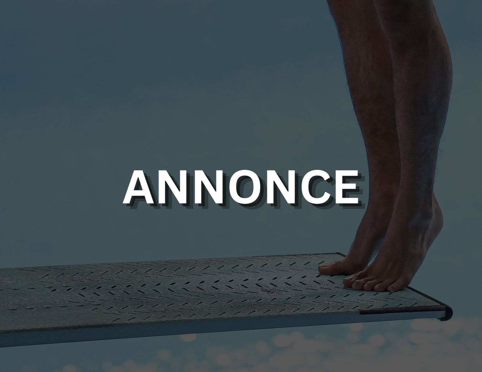 MISE À JOUR DE LA DIRECTION GÉNÉRALE DE DIVING PLONGEON CANADA