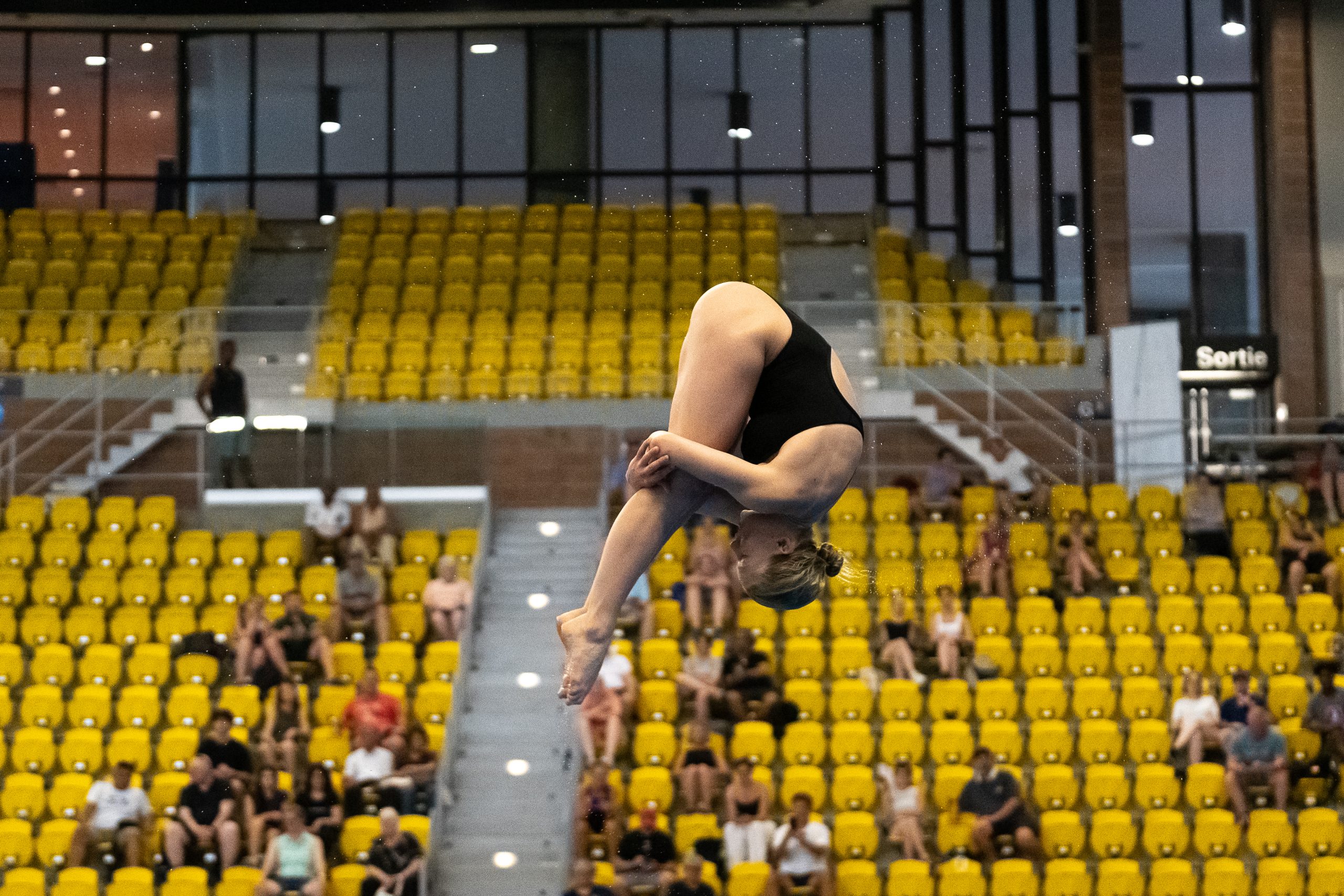 Day One Gold for Alistair Nisbet, Daniela Durevska, and Maia Jane