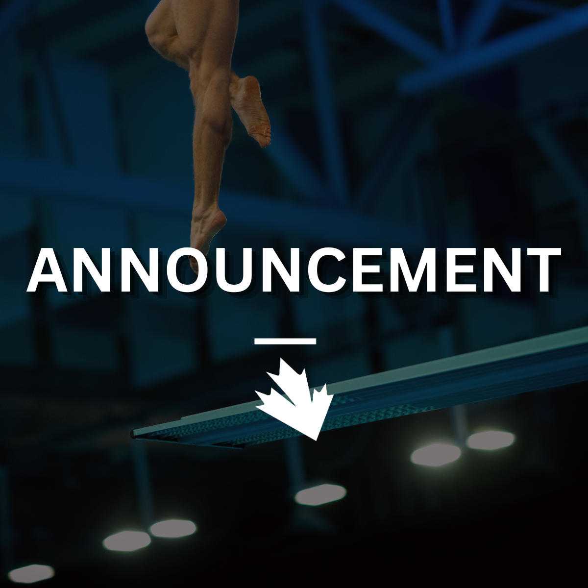 Jeff Feeney Appointed as New CEO of Diving Plongeon Canada